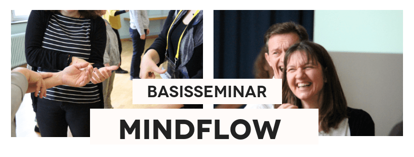 MindFlow Basisseminar